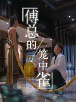 傅总的笼中雀封面
