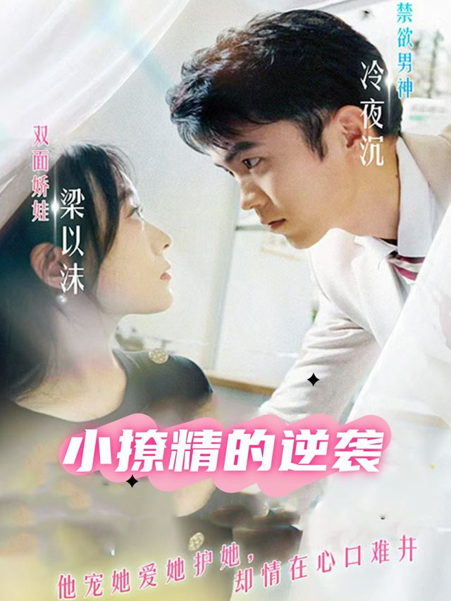 小撩精的逆袭封面