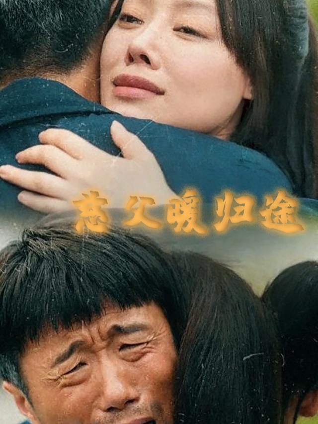 慈父暖归途封面