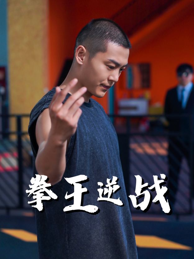 拳王逆战封面