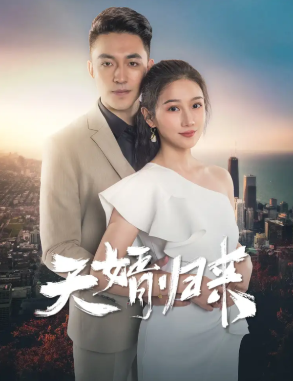 天婿归来封面