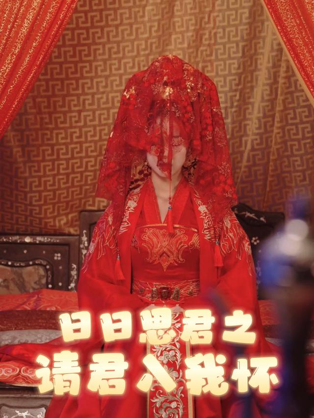 日日思君之请君入我怀封面