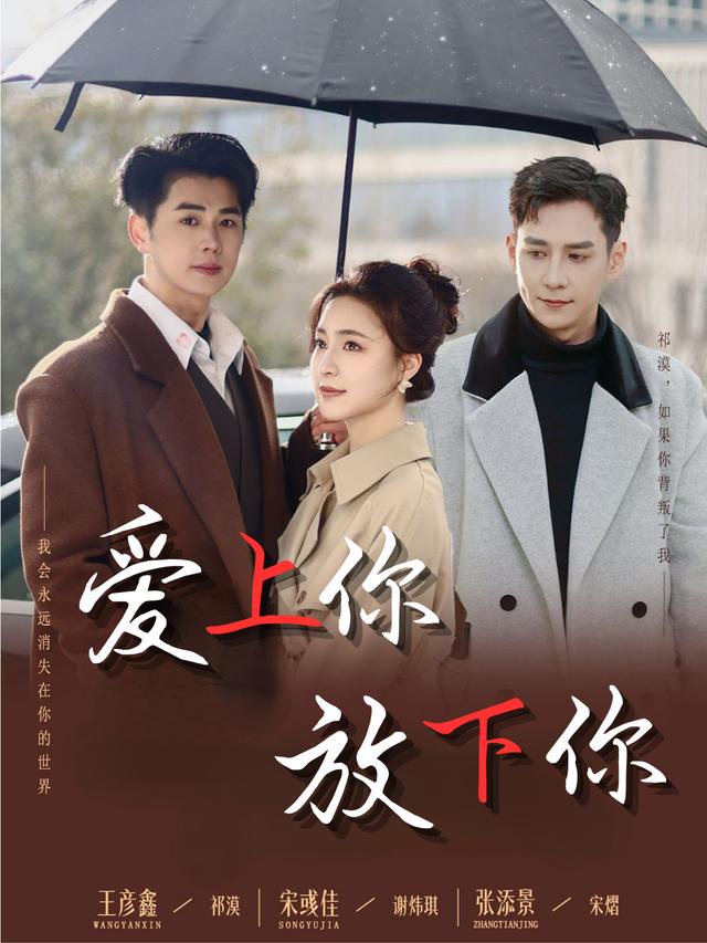 爱上你,放下你封面