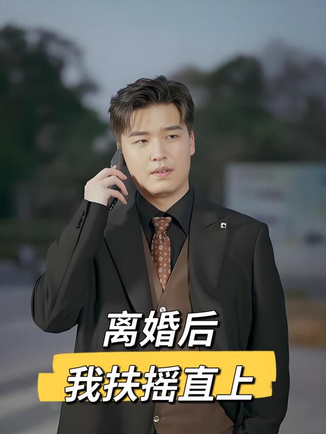 离婚后，我扶摇直上封面