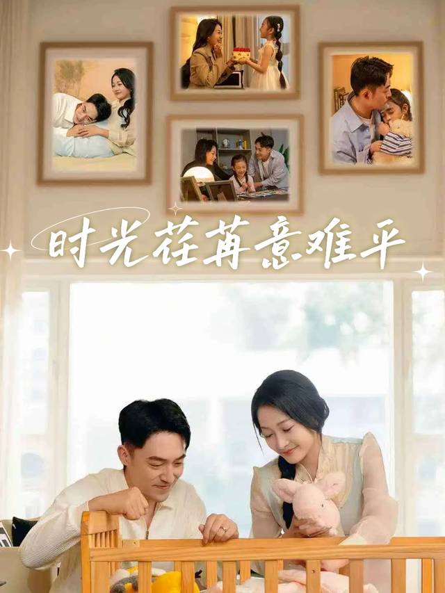 时光荏苒意难平封面