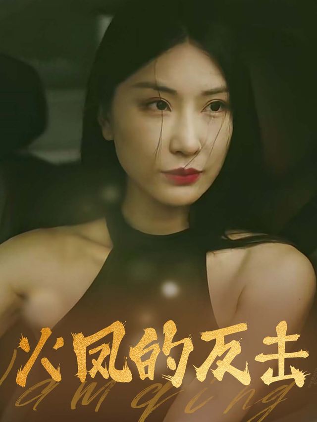 火凤的反击封面