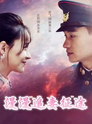 漫漫追妻征途封面