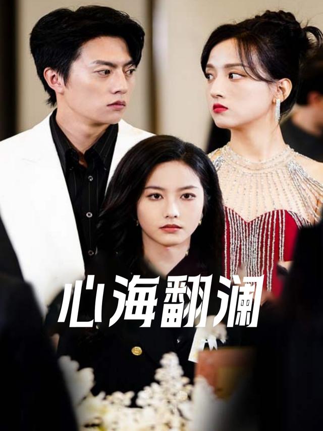 心海翻澜封面