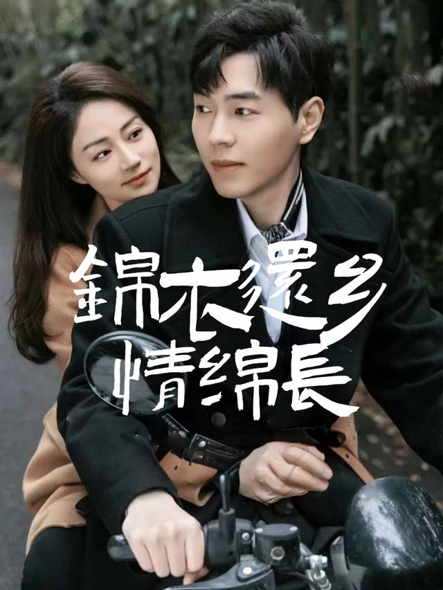 锦衣还乡情绵长封面