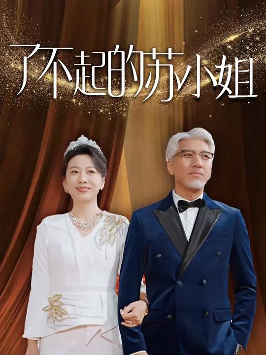 了不起的苏小姐封面