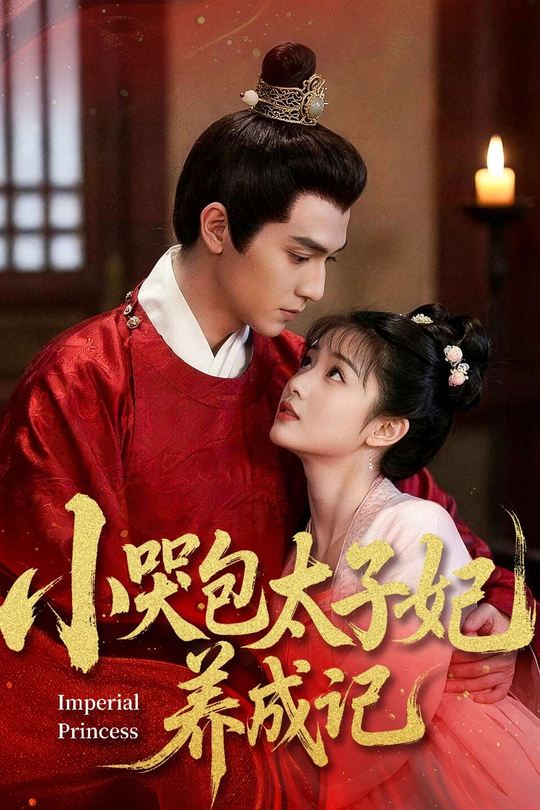 小哭包太子妃养成记封面