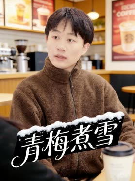 青梅煮雪封面