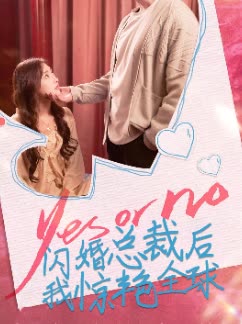 闪婚总裁后我惊艳全球封面