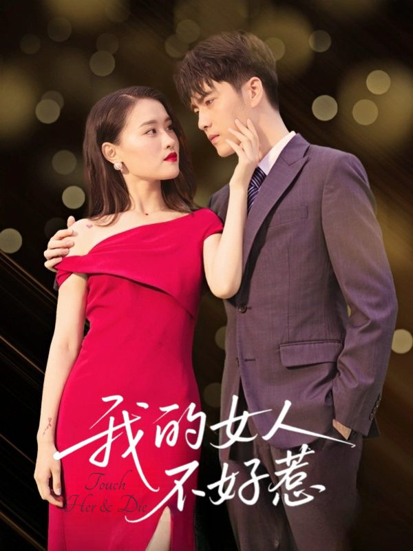 我的女人不好惹封面