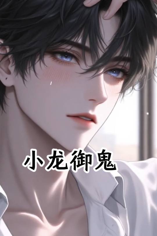 小龙御鬼封面