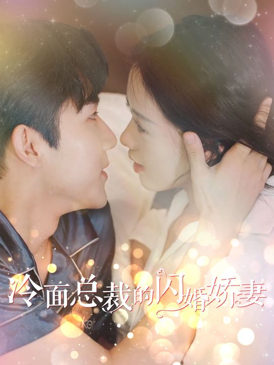 冷面总裁的闪婚娇妻封面