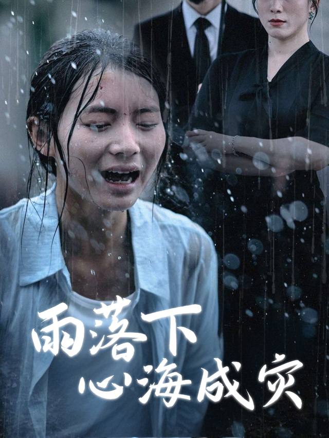 雨落下心海成灾封面