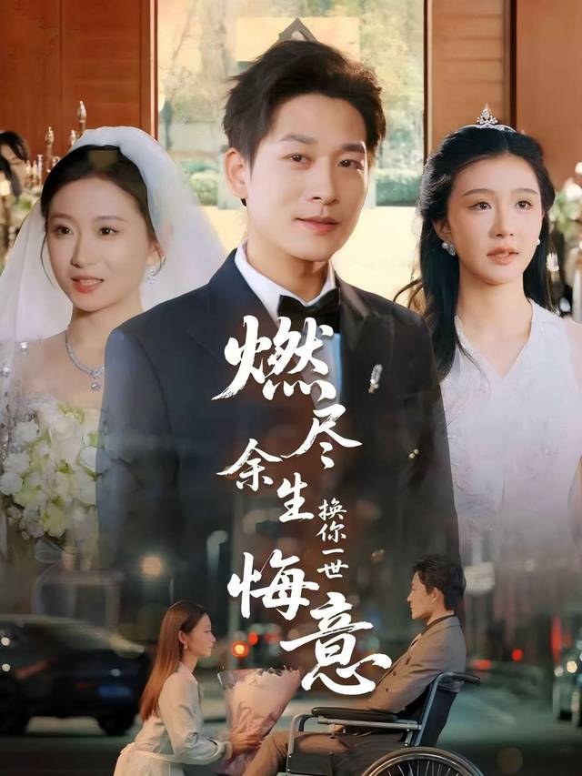 燃尽余生,换你一世悔意封面