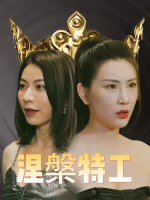 涅槃特工封面