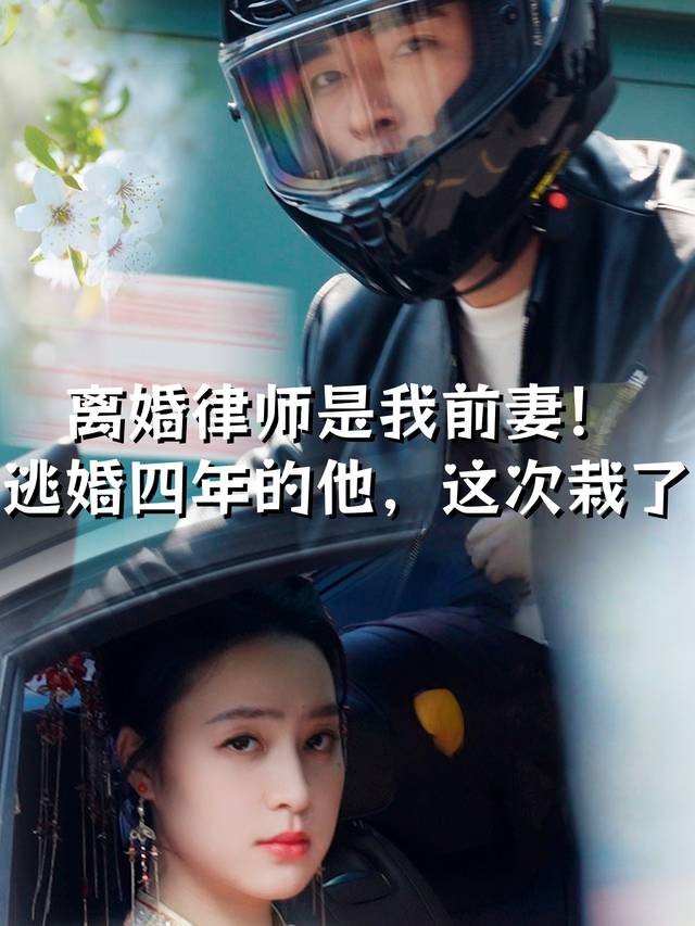 离婚律师是我前妻!逃婚四年的他,这次栽了封面