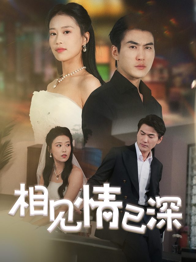 相见情已深封面