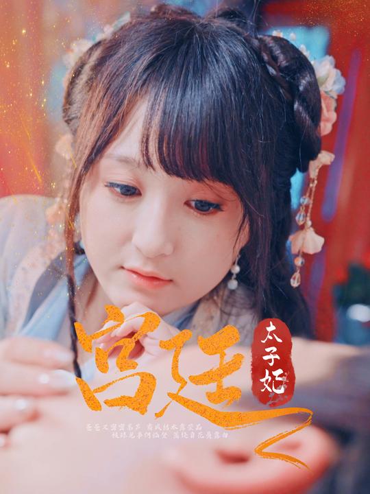 宫廷太子妃封面