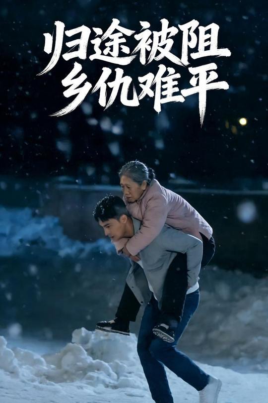 归途被阻乡仇难平封面