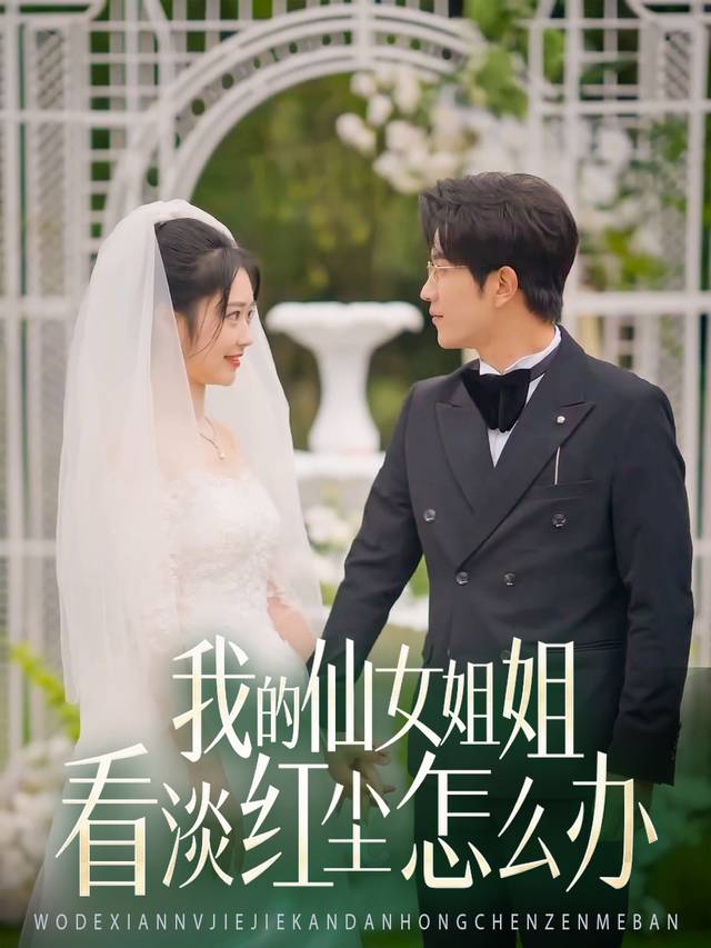 我的仙女姐姐看淡红尘怎么办封面