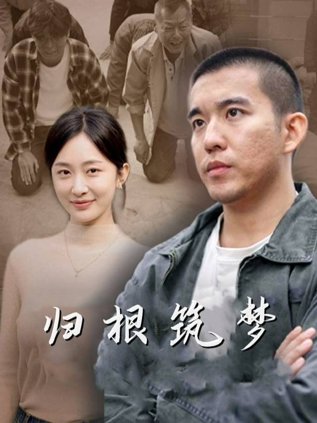 归根筑梦封面