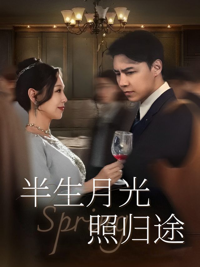 半生月光照归途封面