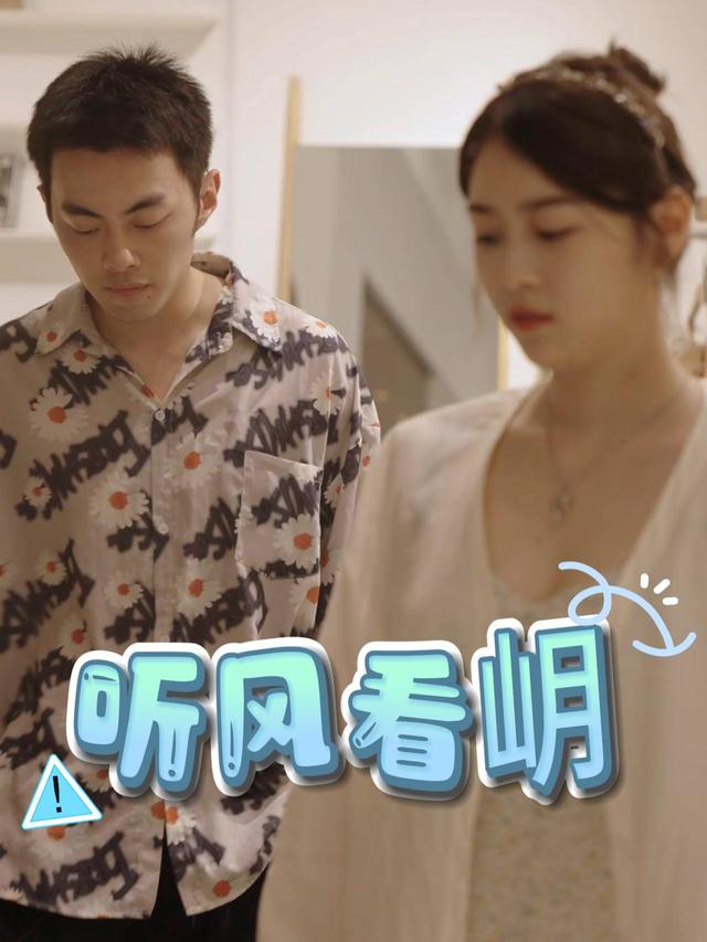 听风看岄封面
