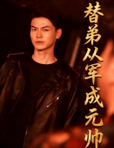 替弟从军成元帅封面