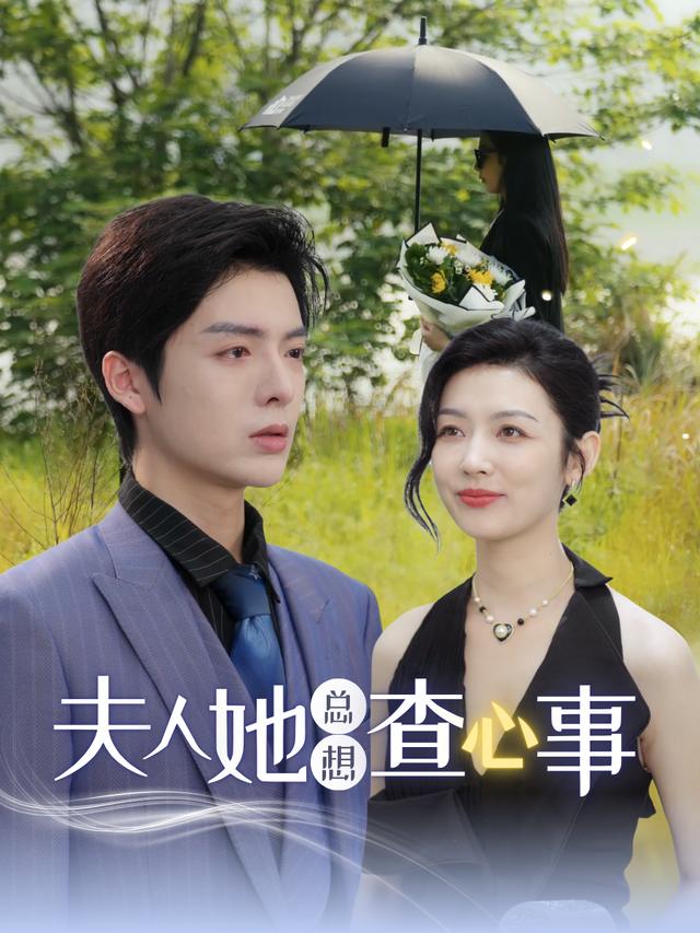 夫人她总想查心事封面