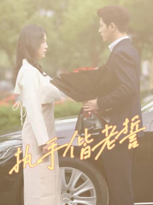 执手偕老誓封面