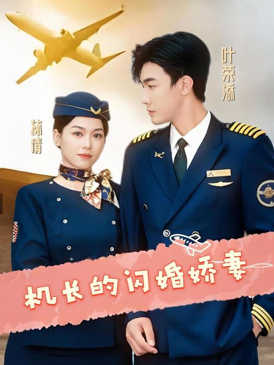 机长的闪婚娇妻封面