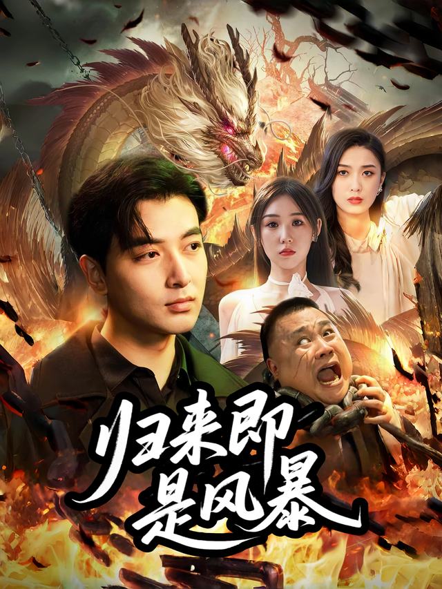 归来即是风暴封面