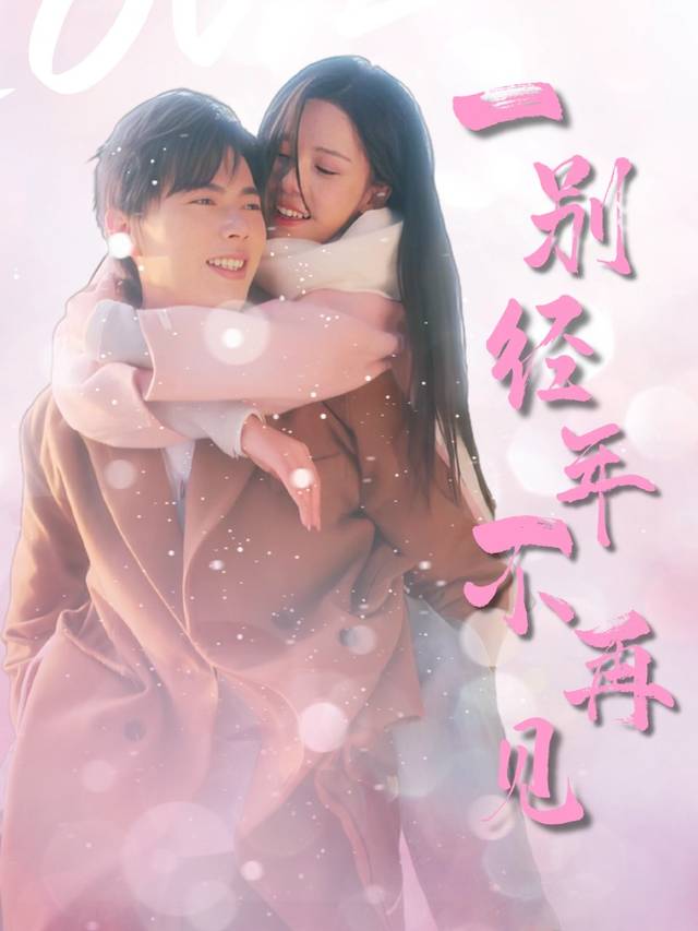 一别经年不再见封面
