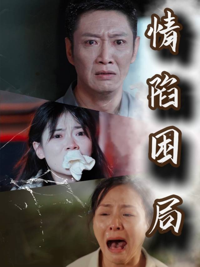 情陷困局封面