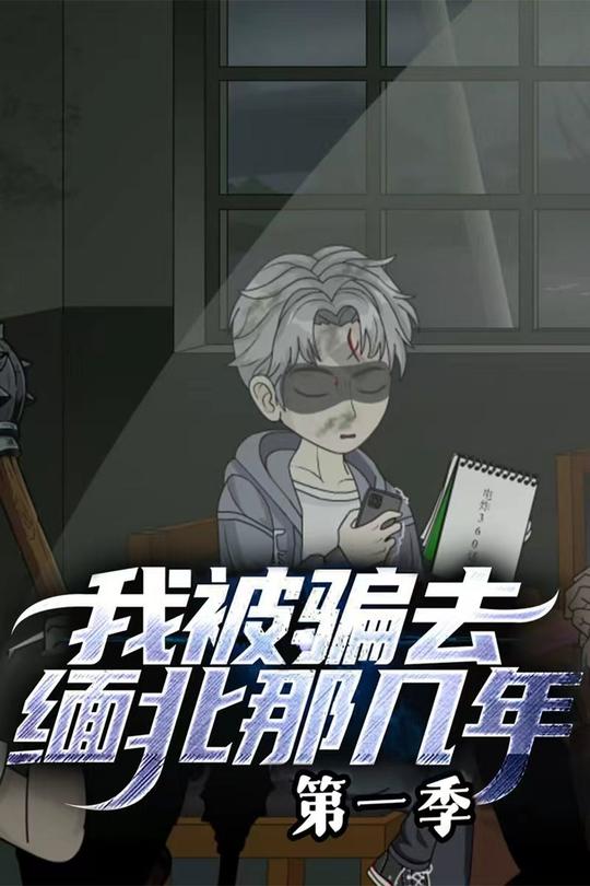 我被骗去缅北那几年封面