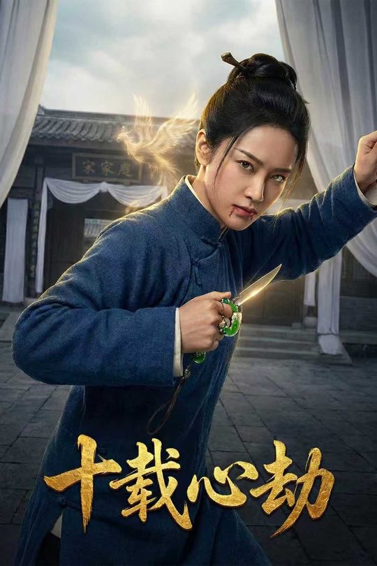 十载心劫封面