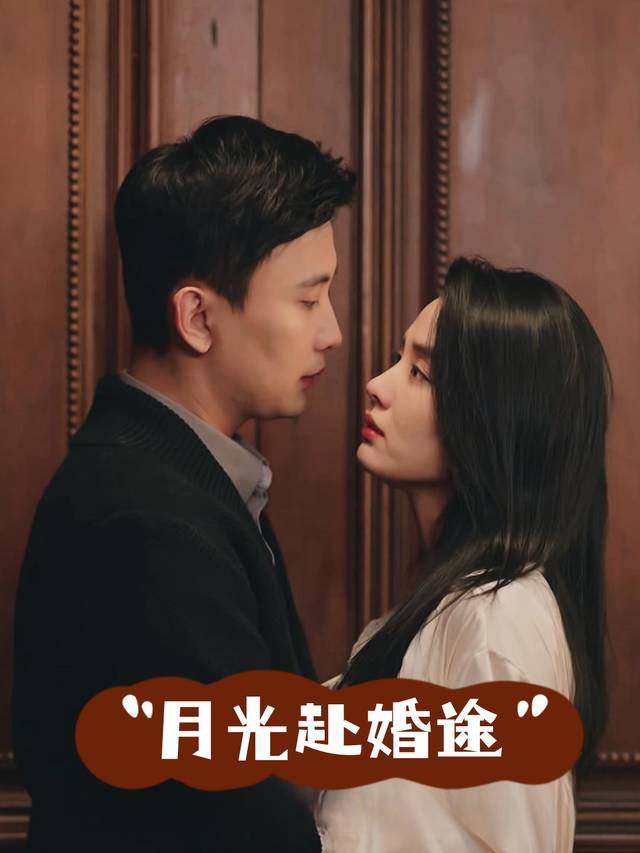 月光赴婚途封面