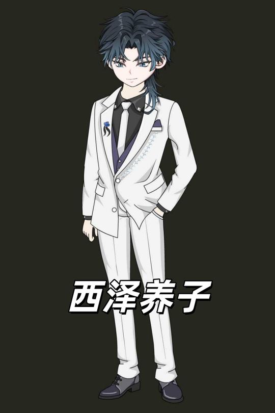 西泽养子封面