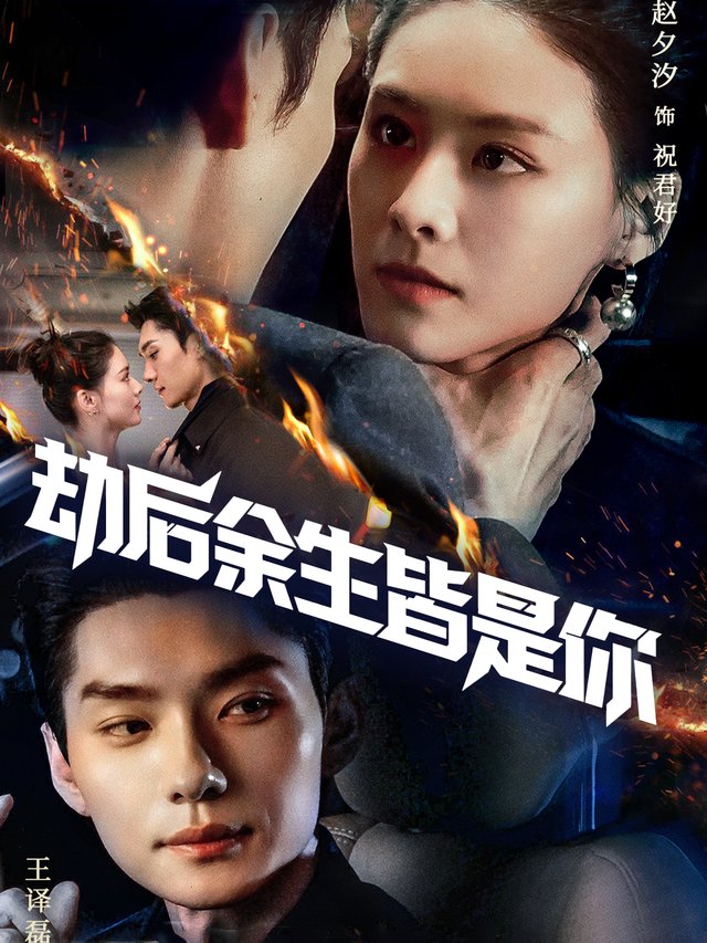 劫后余生皆是你封面