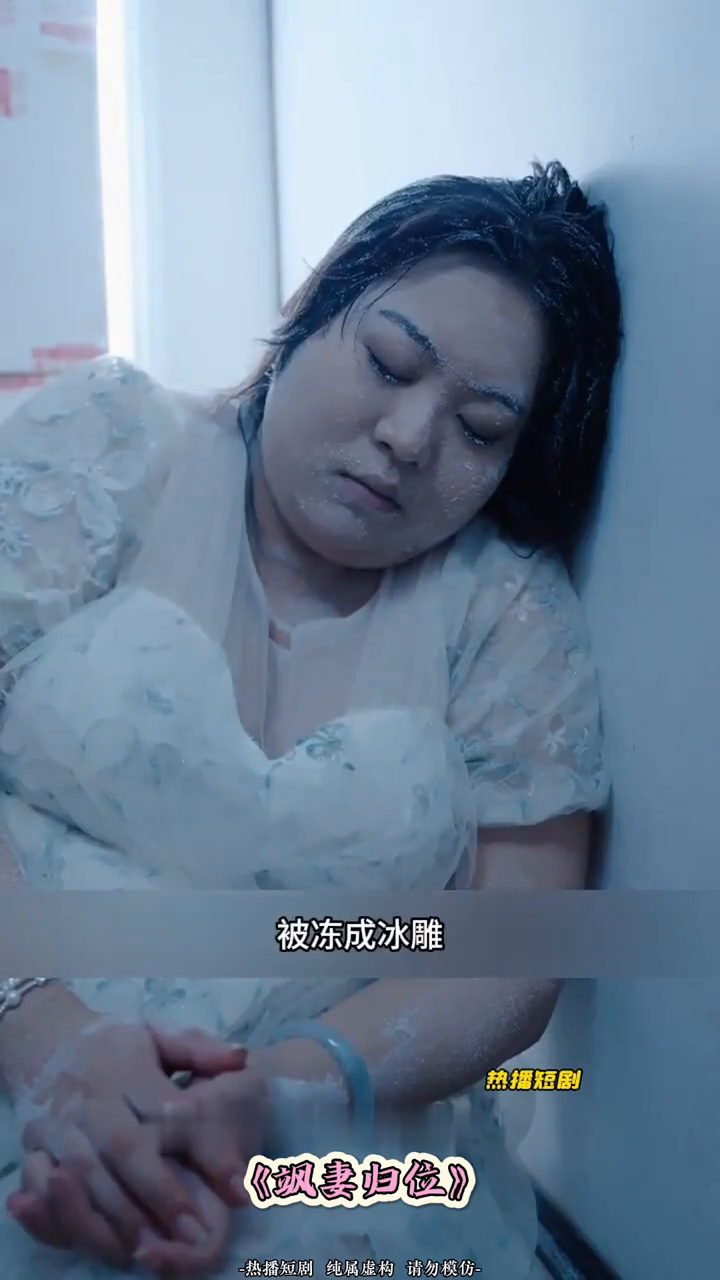 飒妻归位封面