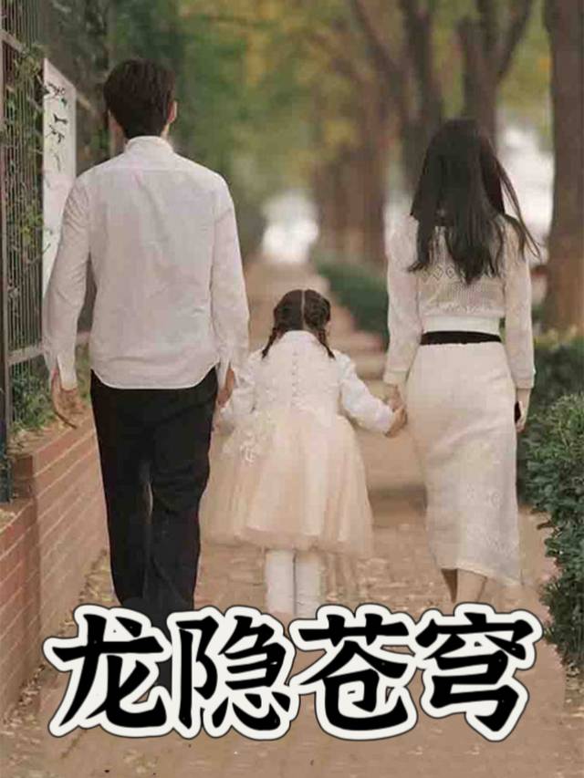 龙隐苍穹封面