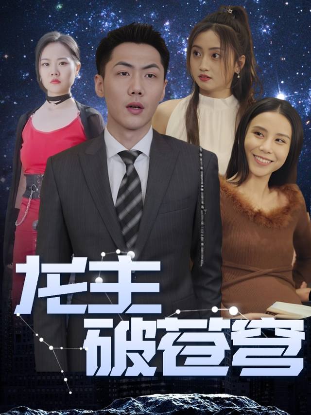 龙主破苍穹封面