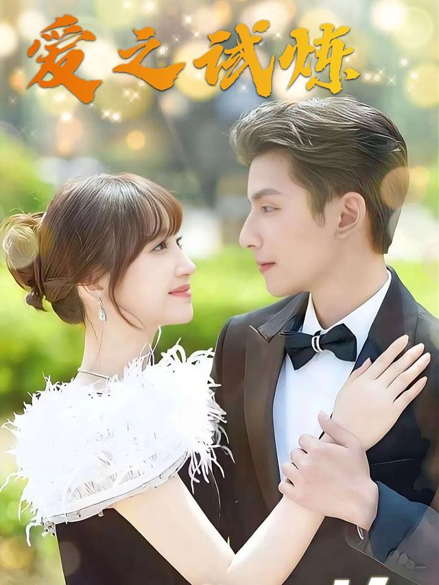 爱之试炼封面