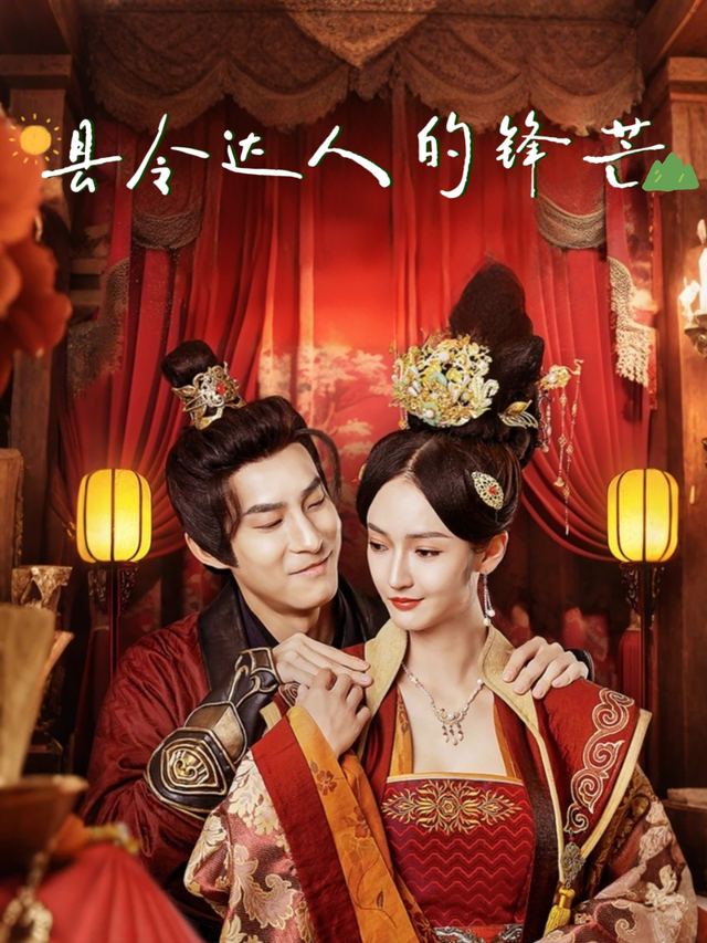县令大人的锋芒封面