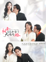 相亲当天和豪门大佬闪婚了封面