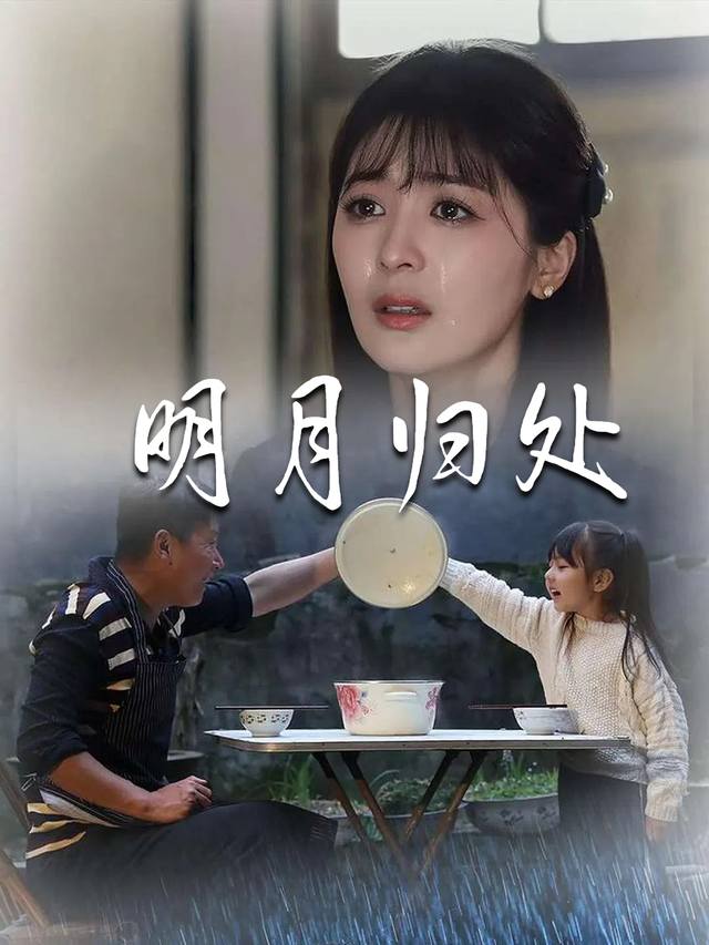 明月归处封面